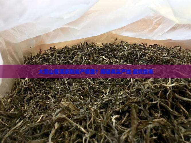 大雪山普洱茶是哪里的