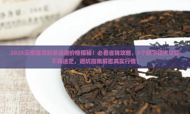 云南普洱茶新茶速递价格