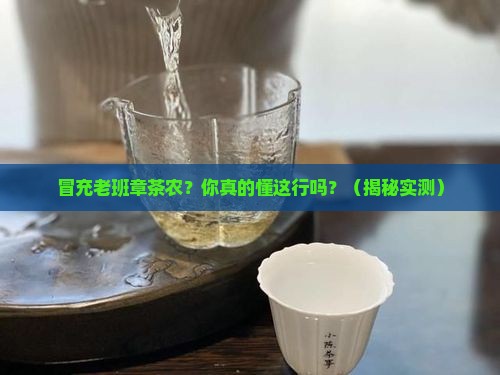 冒充老班章茶农
