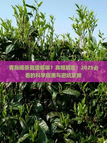 胃胀喝茶能缓解嘛