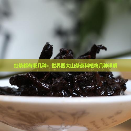 红茶都有哪几种