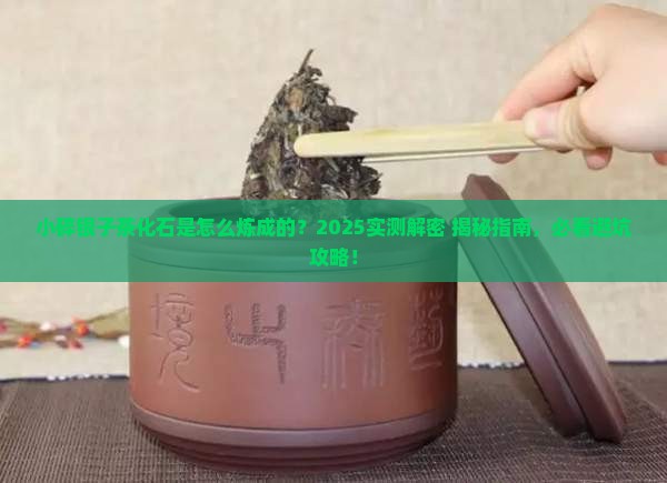 小碎银子茶叶茶化石怎么形成的