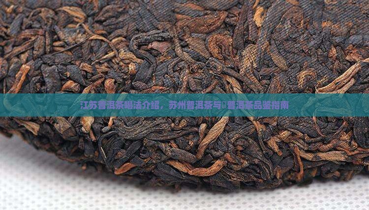 江苏普洱茶喝法