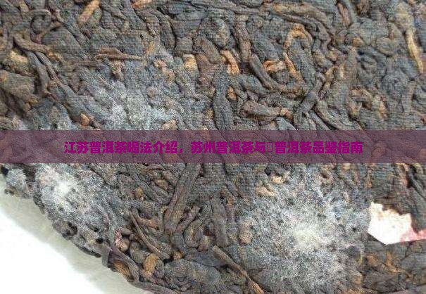 江苏普洱茶喝法