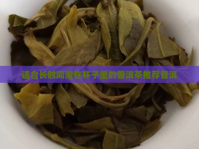 适合长时间泡在杯子里的普洱茶
