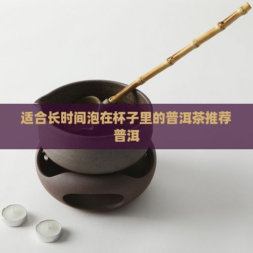 适合长时间泡在杯子里的普洱茶