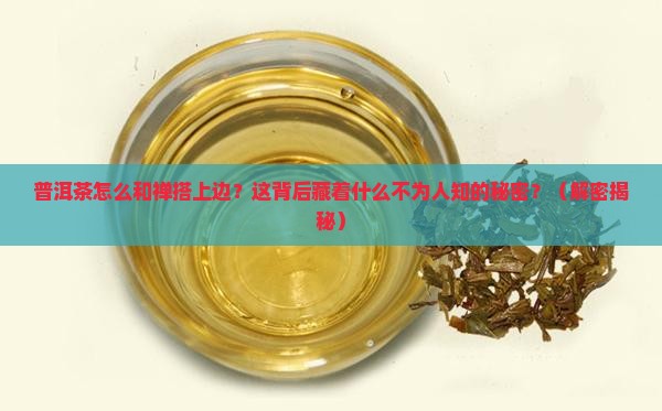 普洱茶与禅结合