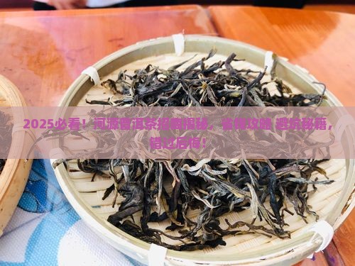 河源靠谱的普洱茶招商