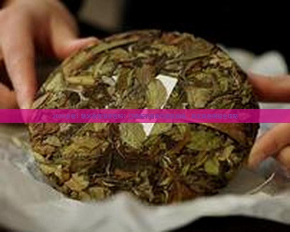 糯米香普洱茶苦吗