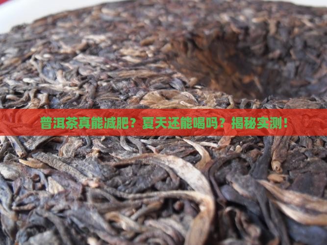 普洱茶能减肥吗夏天能喝吗