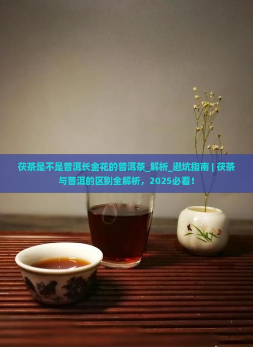 茯茶是不是普洱长金花的普洱茶