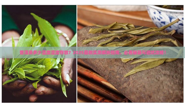 普洱茶多少温度湿度存放