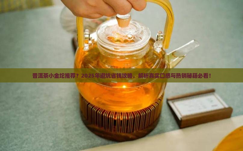 普洱茶小金坨推荐