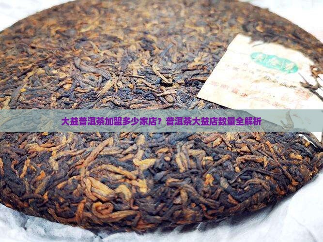 大益普洱茶有多少家店