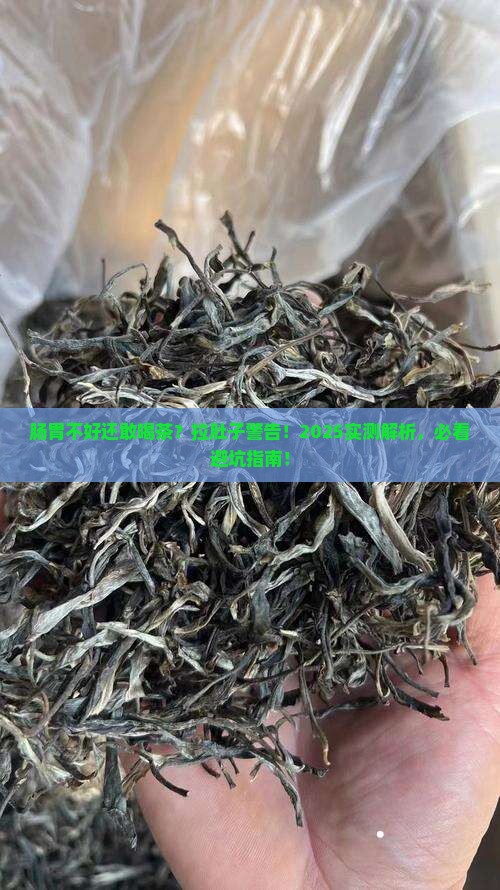 肠胃不好的人喝茶叶茶会拉肚子吗