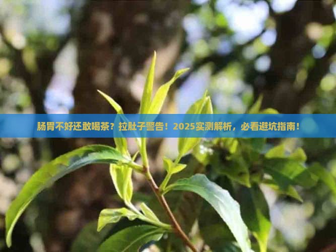 肠胃不好的人喝茶叶茶会拉肚子吗