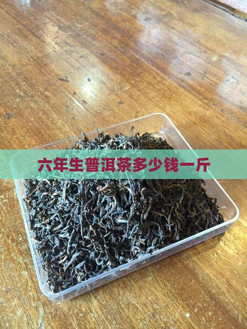 6年的生普洱茶多少钱一斤
