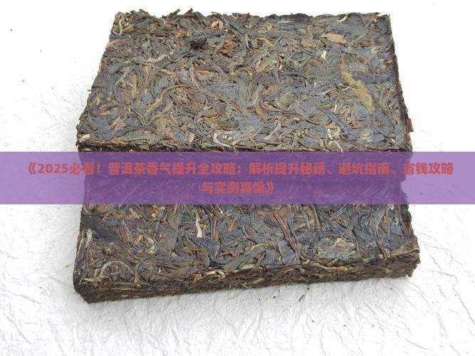 怎样提高普洱茶香气