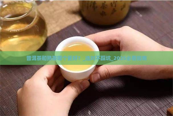 普洱茶和熟茶哪个更好