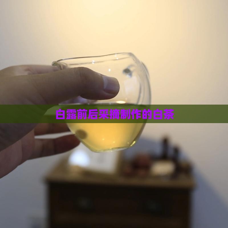 16年的白露茶