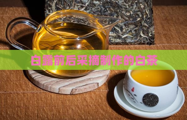16年的白露茶
