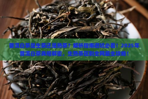 普洱白茶是生茶还是熟茶区别