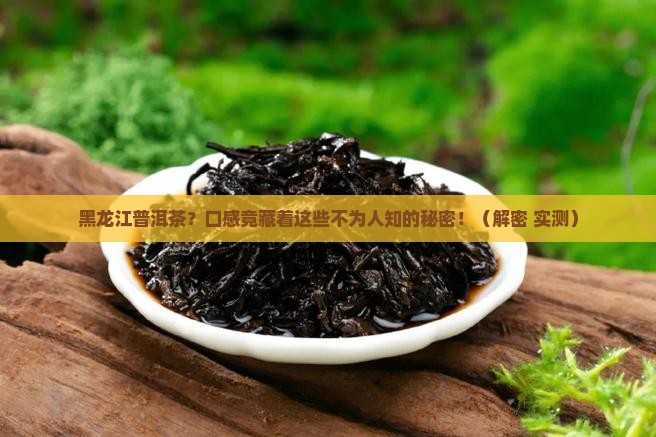 黑龙江普洱茶口感特点