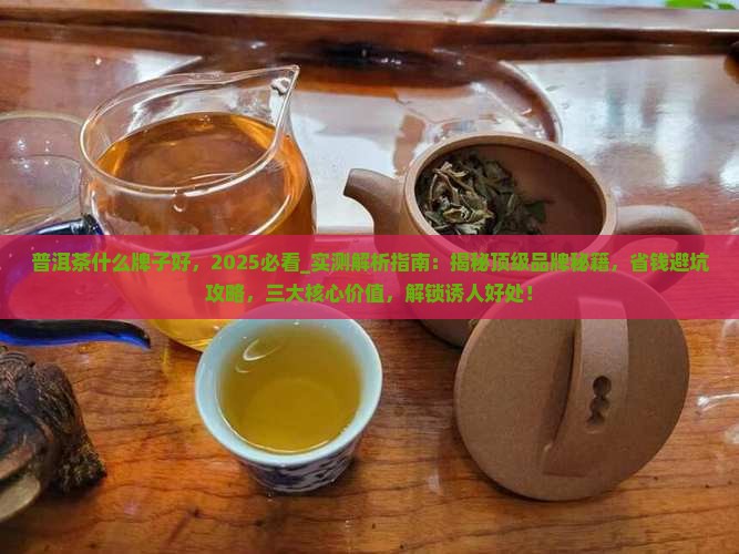 普洱茶什么牌子好