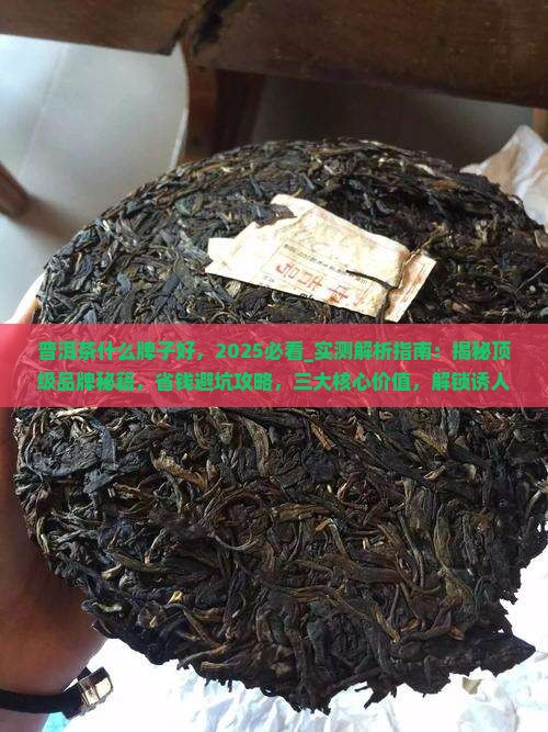 普洱茶什么牌子好