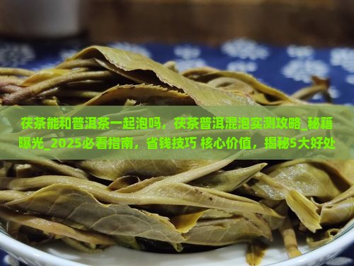 茯茶能和普洱茶一起泡吗