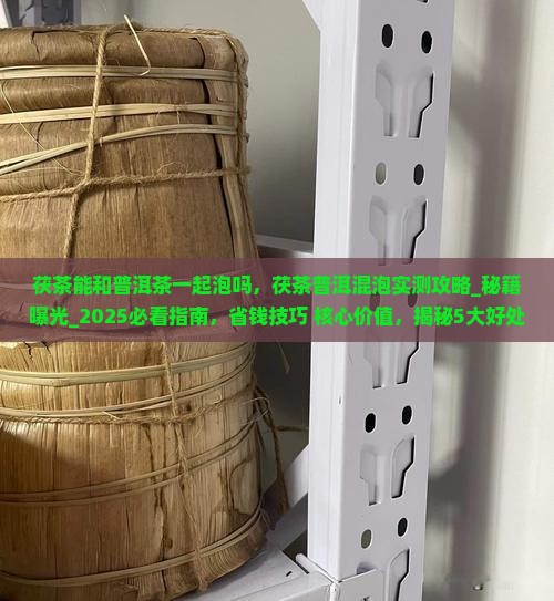 茯茶能和普洱茶一起泡吗
