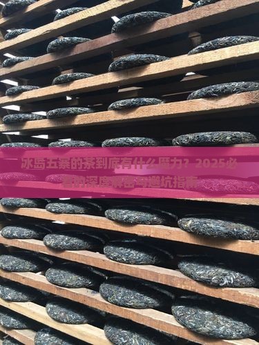 冰岛五寨的茶是什么