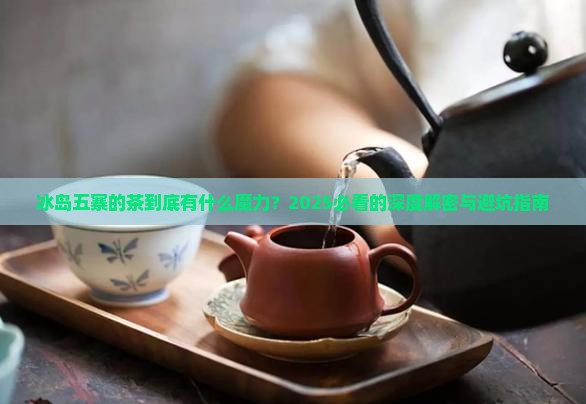 冰岛五寨的茶是什么