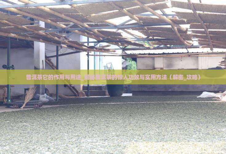 普洱茶它的作用与用途