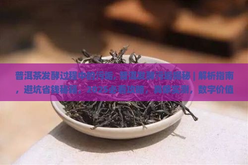 普洱茶发酵过程中的污垢
