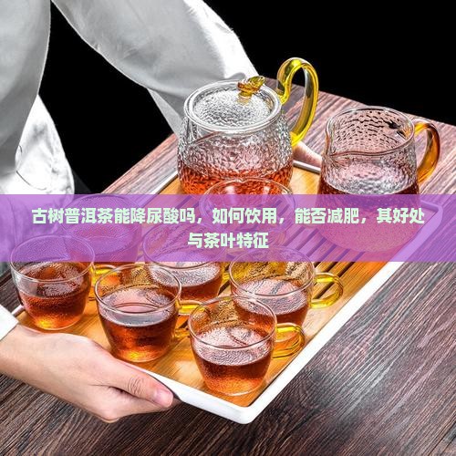 古树普洱茶能降尿酸吗