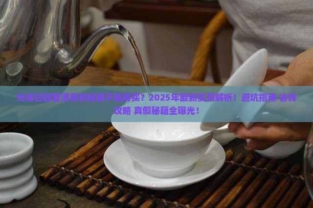 光绪古园普洱茶