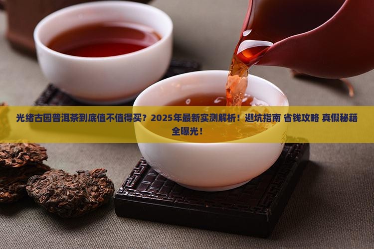 光绪古园普洱茶