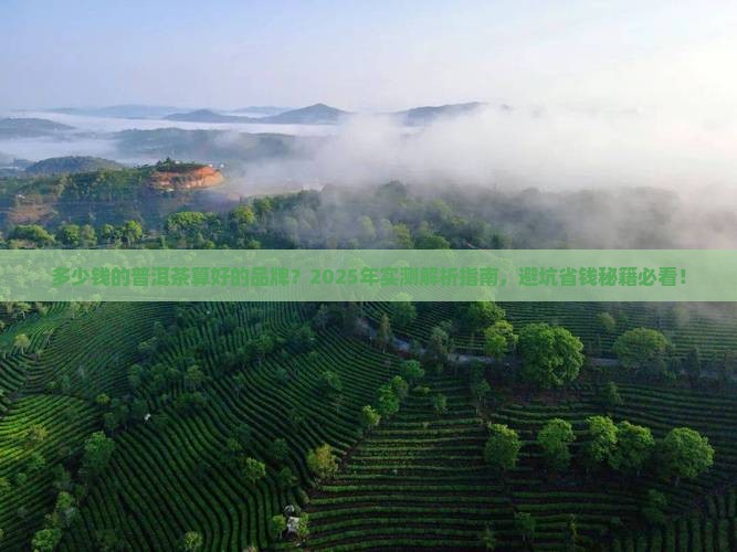 多少钱的普洱茶算好的品牌