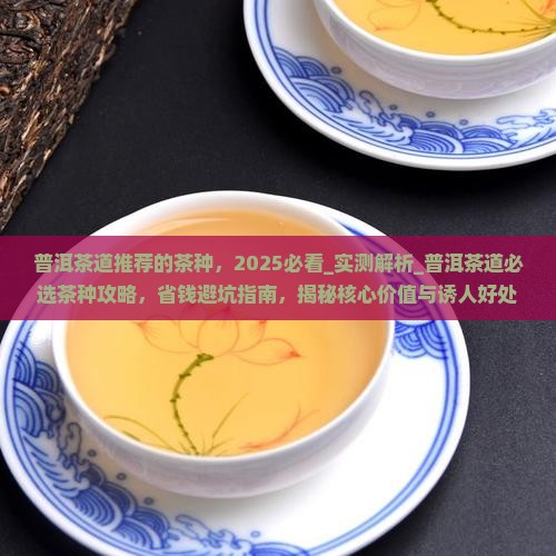 普洱茶道推荐的茶种