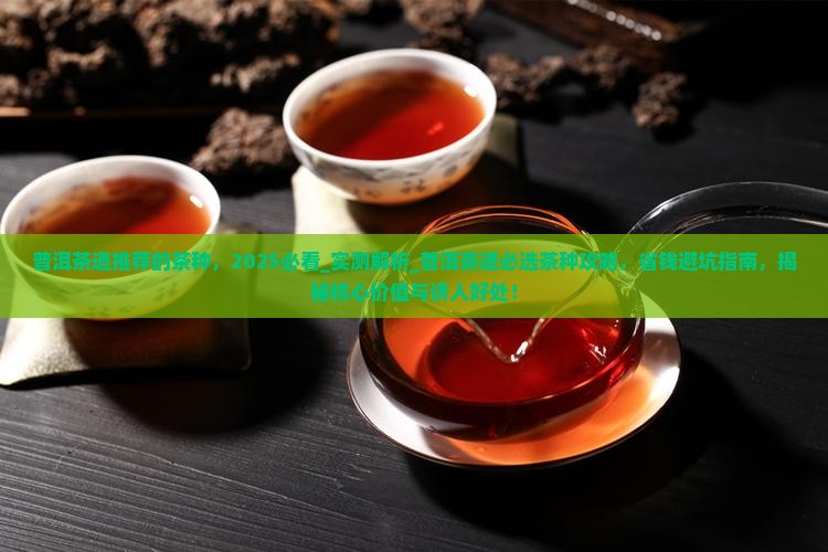 普洱茶道推荐的茶种