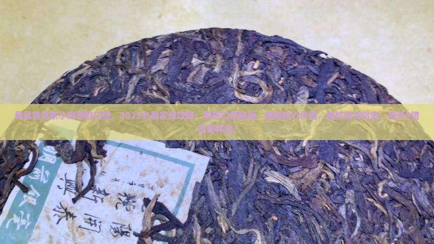 易武普洱茶小树茶的口感