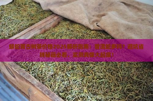 蟒蛇箐古树茶什么价普洱蛇多吗