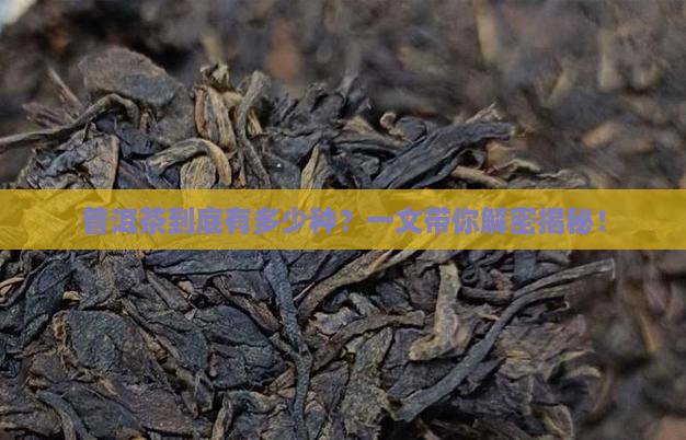 普洱茶分多少品种