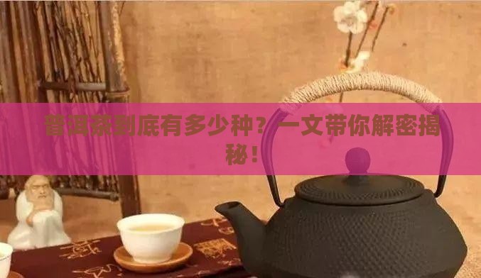 普洱茶分多少品种