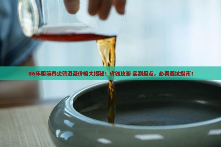 06年明前春尖普洱茶多少钱