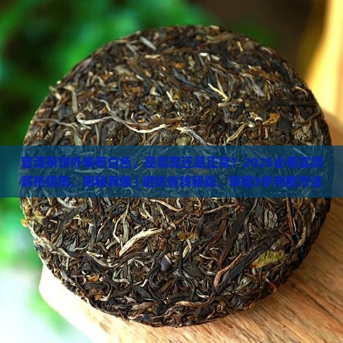 普洱茶饼外表有白色