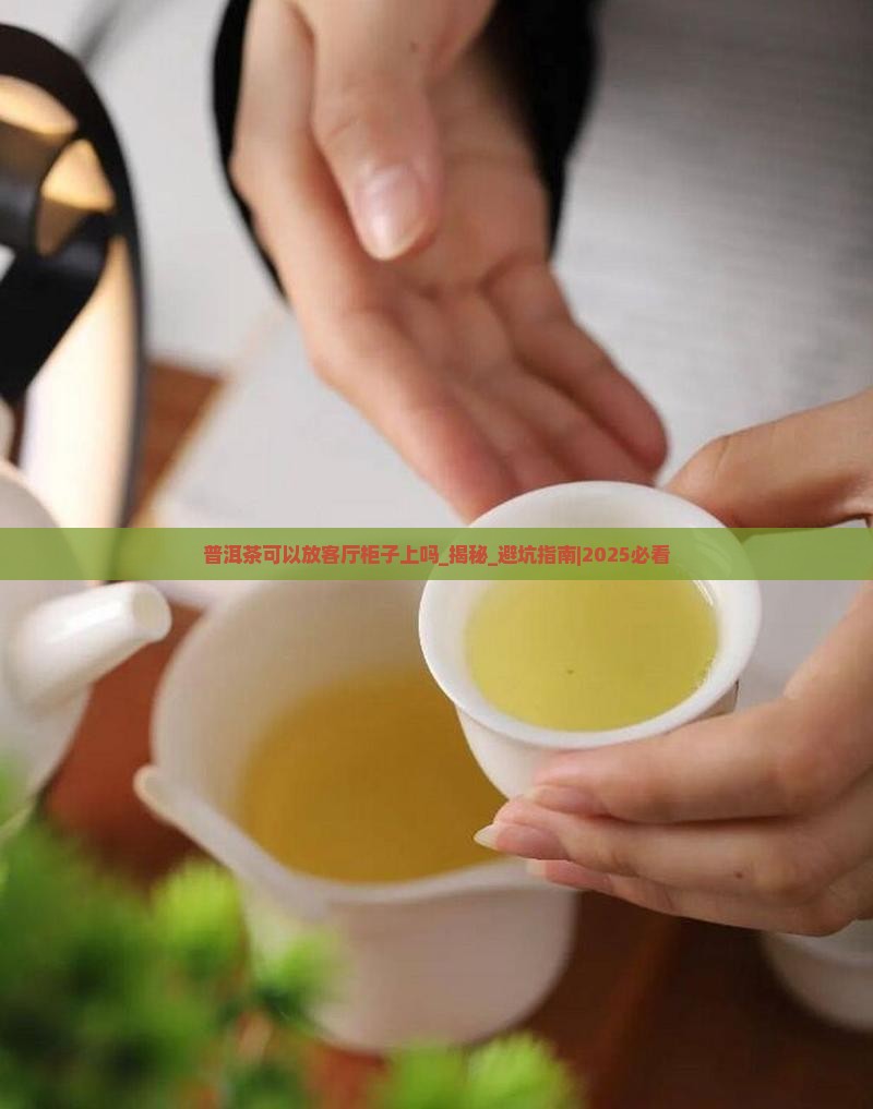 普洱茶可以放客厅柜子上吗