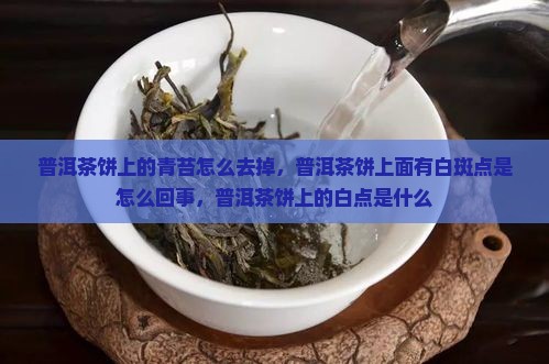 普洱茶饼上的青苔怎么去掉