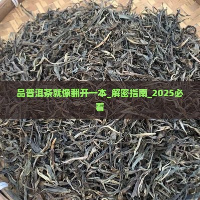 品普洱茶就像翻开一本 品普洱茶就像翻开一本